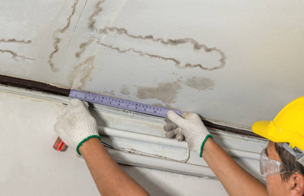 Affordable Ceiling Water Damage Repair solutions in Martinsville, IL